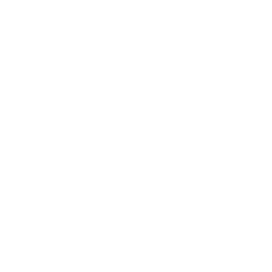 BioRestorative Therapies, Inc. (NV) Share Price